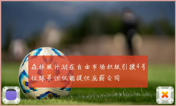 森林狼计划在自由市场积极引援4号位球员但仅能提供底薪合同
